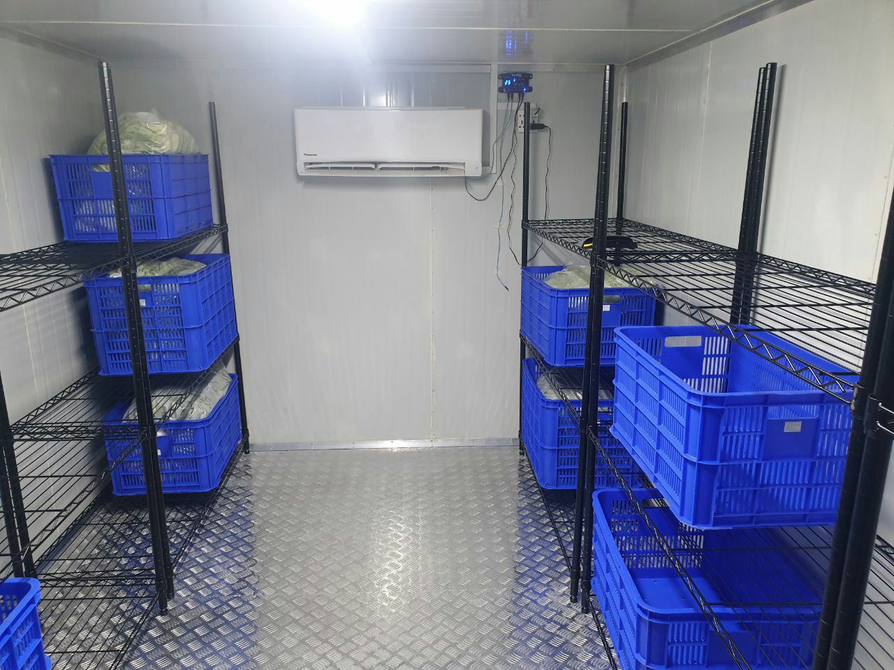 Temperature-Controlled Storage Rooms - Image 3