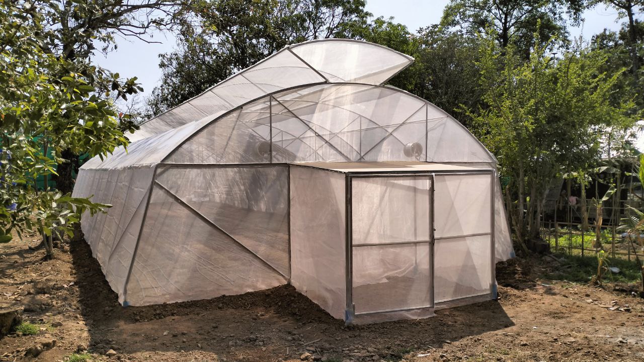 Sustainable Solar-Powered Dryers